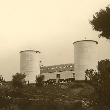Rocca Sul Mare Hotel Vieste